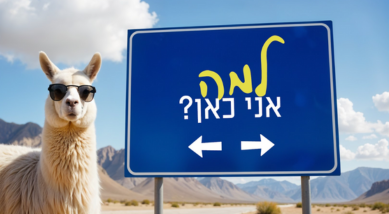 למה אני כאן?