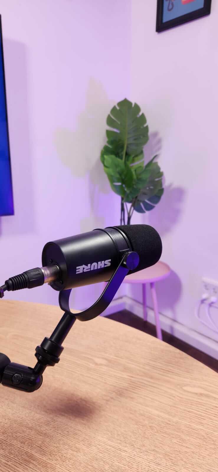 מיקרופון Shure עם צמח דקורטיבי באולפן