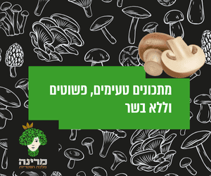 מתכוני פטריות