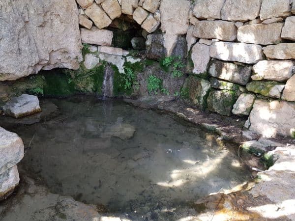 מעיינות גוש עציון