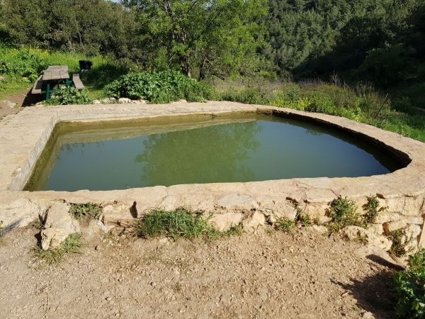 מעיינות גוש עציון