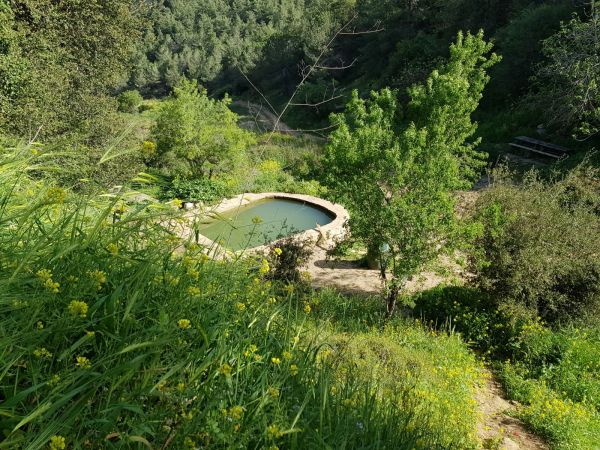 קיץ נפלא: 5 המעיינות הכי יפים באיזור גוש עציון