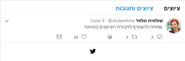 הטוויטר של הרבנית