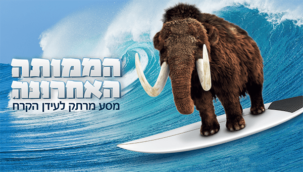 תערוכה לימות הקיץ