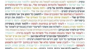 הנהגותיו של איתמר בן גל צילום: משפחתו של איתמר בן גל לייף סטייל