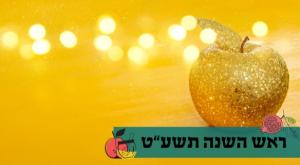  צילום: shutterstock, סטודיו כיפה לייף סטייל