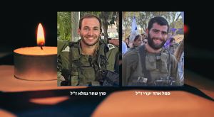 אהד ושחר ז"ל צילום: מועצה אזורית גולן, עיריית רחובות וקאנבה חדשות