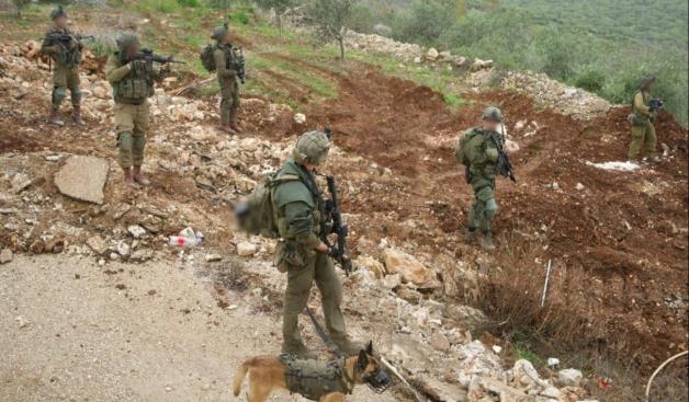 תיעוד מפעילות כוחות אוגדה 146 בדרום לבנון צילום: דובר צה"ל חדשות