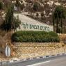 עלי צילום: Yossi Aloni,FLASH 90 כדאי לדעת