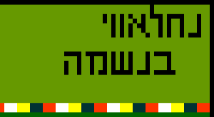 דוגמה לכיפה חיילים