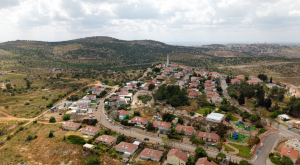 ענב צילום: צילום מסך חדשות