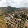 ענב צילום: צילום מסך חדשות