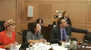 מיקי זוהר ושולי מועלם בדיון על חוק הפורנו צילום: דוברות ח"כ זוהר חדשות