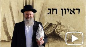 הרב שמואל אליהו צילום: פלאש 90 חדשות