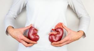 תרומת כליה צילום: shutterstock חדשות