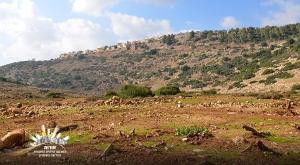  צילום: יחצ חדשות נדלן