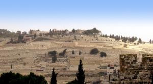 הר הזיתים צילום:  תמרה מוויקיפדיה העברית תרבות