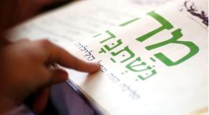 פסח צילום: shutterstock ברנז'ה