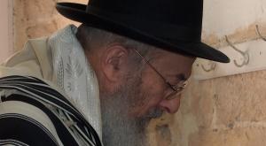 הרב צבי טאו צילום: מיכאל יעקובסון, ויקיפדיה חדשות