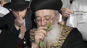 הרב שלמה עמאר צילום: יחצ חדשות