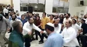 חגיגות בתורת החיים צילום: צילום מסך חדשות