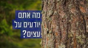 חידון טו בשבט צילום: shutterstock טו בשבט