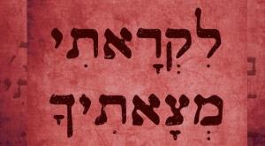 עטיפת הספר צילום: עטיפת הספר חדש על המדף
