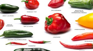 סוגים שונים של פלפל צילום: Hortimages,Shutterstock סלטים