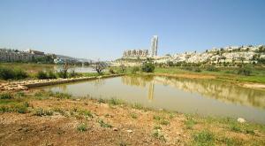 זכה בפרס. פארק עמק הצבאים צילום: ארנון בוסאני חדשות