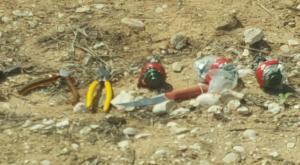 הרימונים שנתפסו עם המחבלים צילום: דוברות משטרת ישראל חדשות