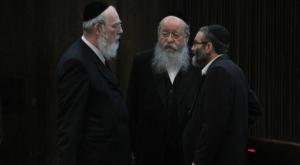 ידעו ימים טובים יותר. משמאל: חברי הכנסת אייכלר מוזס וגפני צילום: פלאש 90. מרים אלסטר חדשות