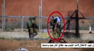 לוחמי צה"ל מפנים מחבל פצוע צילום: צילום מסך מטוויטר דעות