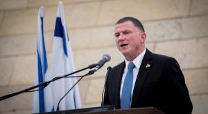 יו"ר הכנסת, יולי אדלשטיין צילום: פלאש 90. יונתן זינדל חדשות