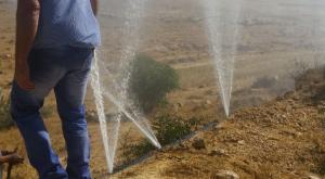 טרור חקלאי צילום: תושבי אביגיל התיישבות