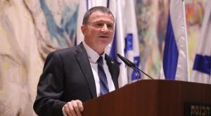 אדלשטיין צילום: דוברות הכנסת חדשות