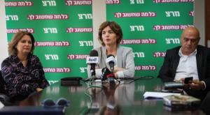 בוחרים יו"ר. זנדברג וחברי מרצ צילום: פלאש 90. נעם רבקין פנטון פוליטי