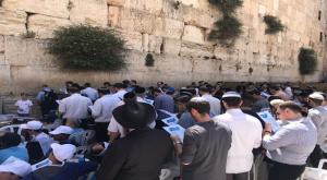 תפילת ההודיה בכותל המערבי צילום: יח"צ חמ"ד חדשות