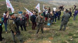 אנשי שלום עכשיו בנתיב האבות צילום: מטה המאבק בנתיב האבות חדשות