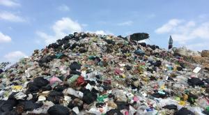 איבוד מזון שווה מיליונים צילום: shutterstock כסף