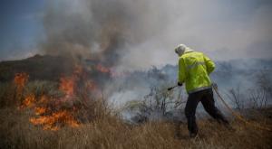 נלחמים בהצתות בעוטף עזה. ארכיון צילום: יונתן זינדל/פלאש 90 ביטחון