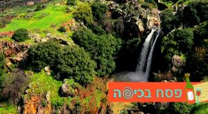  צילום: shutterstock טיולים