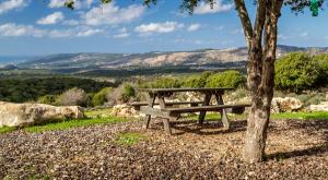 טיול בישראל צילום: shutterstock טיולים