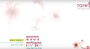  צילום: צילום מסך מוזיקה