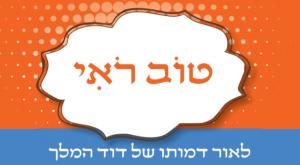 טוב רואי, כריכת הספר צילום: יח"צ ספרים