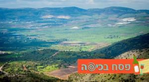  צילום: shutterstock טיולים