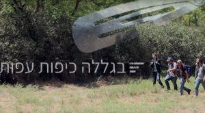 בגללה כיפות עפות צילום: צילום מסך תרבות