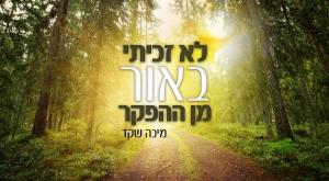 מיכה שקד צילום: יח"צ מוזיקה