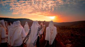  צילום: shutterstock אלול