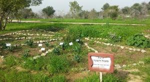 נאות קדומים צילום: צוות נאות קדומים תרבות