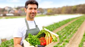  צילום: shutterstock טיולים
